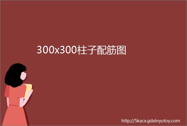 300x300柱子配筋图